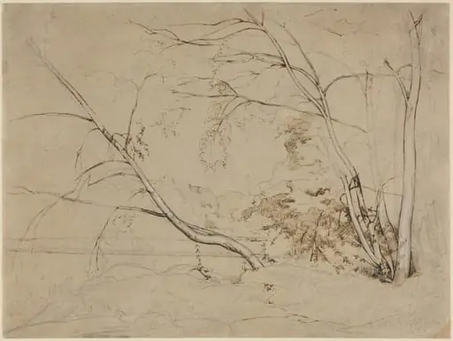 Clump of Trees at Civita Castellana, by Jean Baptiste Camille Corot