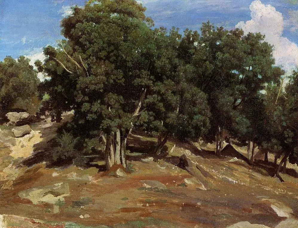 Fontainebleau: Oak Trees at Bas-Bréau