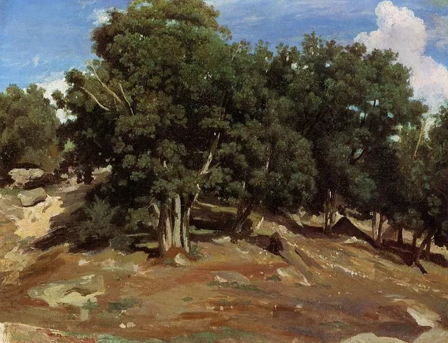 Fontainebleau: Oak Trees at Bas-Bréau