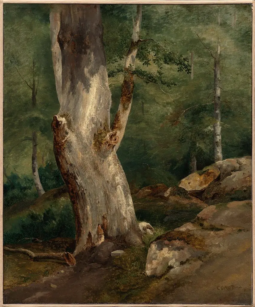 Old Beech Tree, by Jean Baptiste Camille Corot