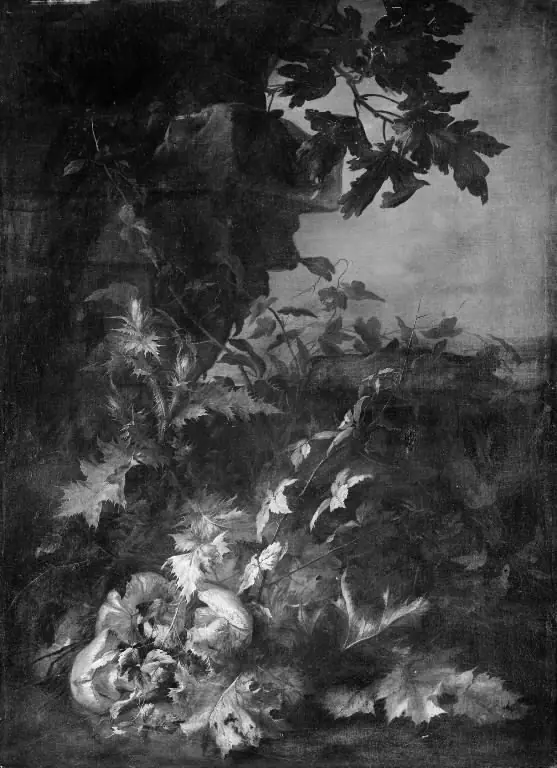 Thistles and Toadstools, by Jean Baptiste Gayot Dubuisson
