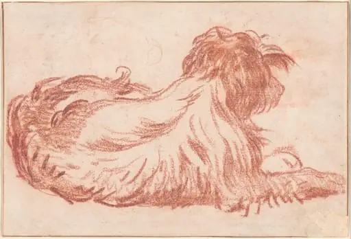 A Dog, by Jean-Baptiste Greuze