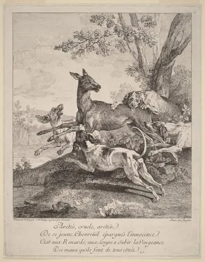 A Deer Attacked by Dogs, by Jean-Baptiste Oudry