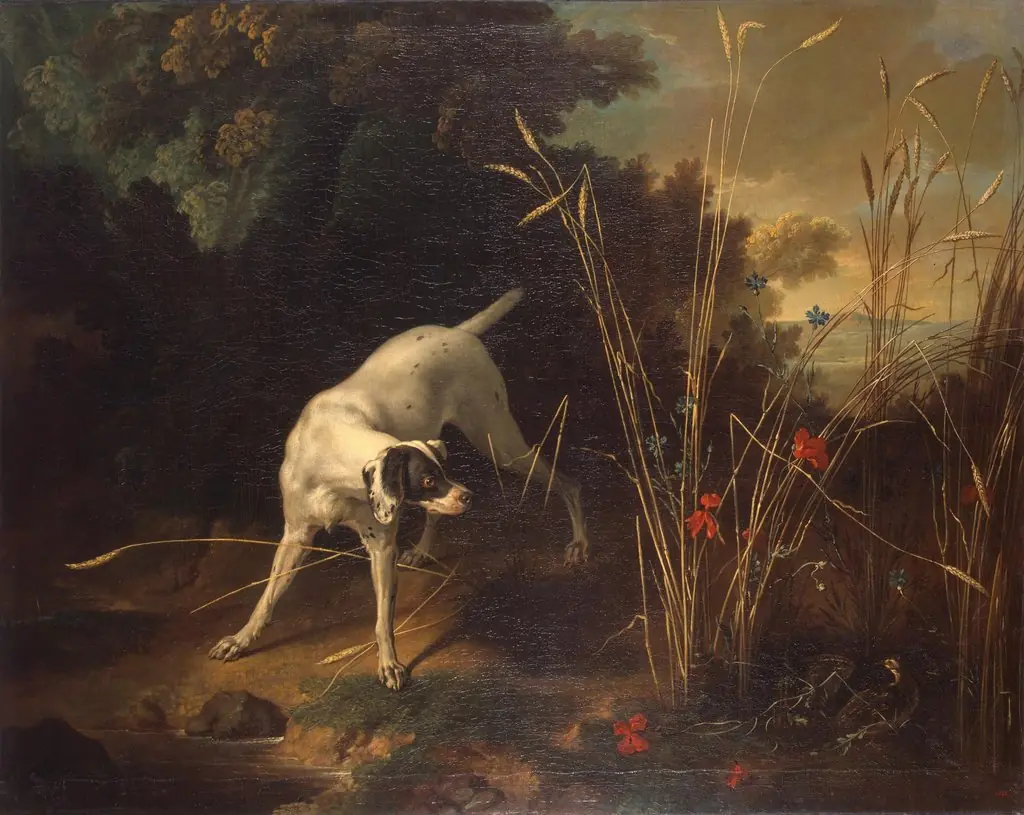Dog Pointing a Partridge, by Jean-Baptiste Oudry