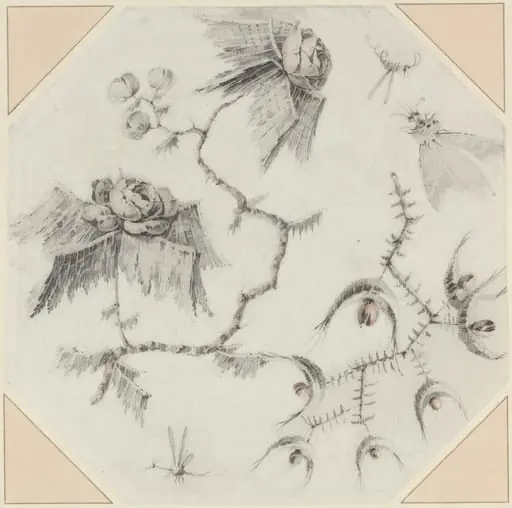Fanciful Flowers and Bugs, by Jean-Baptiste Pillement
