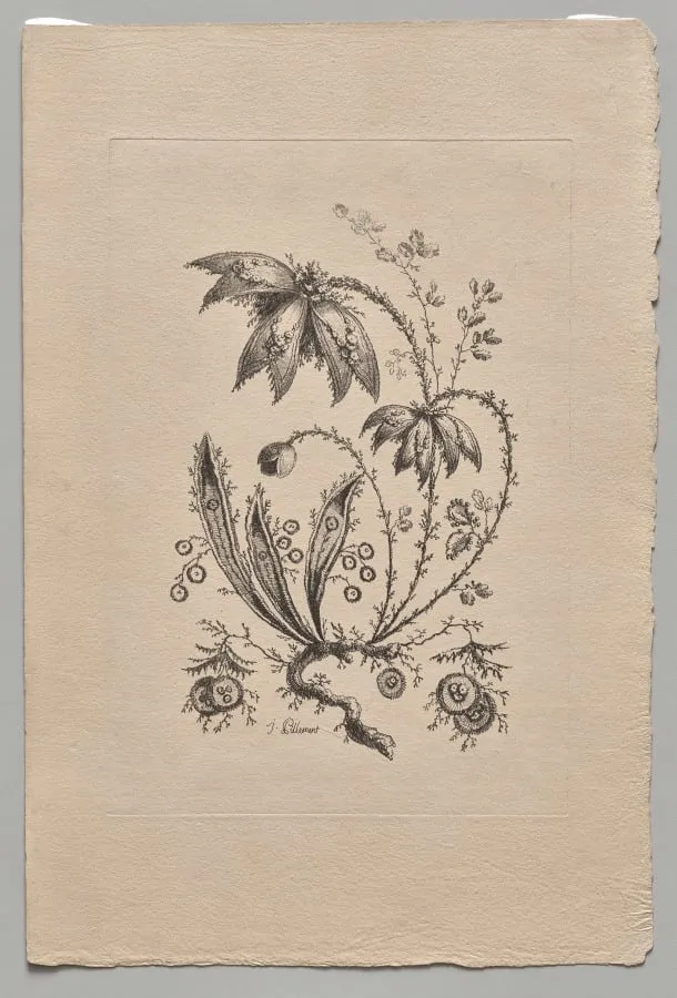 Persian Flowers, by Jean-Baptiste Pillement, 1755