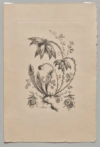 Persian Flowers
