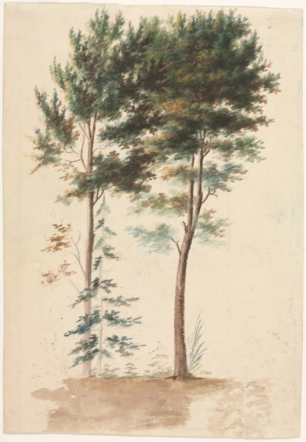 Trees, by Jean-Baptiste Pillement, 1704