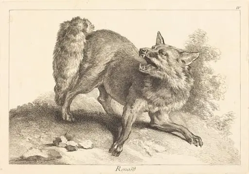 Renard (Fox), by Jean Eric Rehn