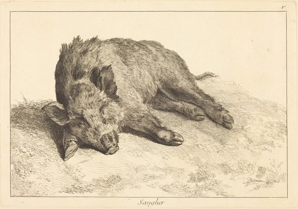 Sanglier (Wild Boar Lying Down, Head to the Left), by Jean Eric Rehn, ink, 1745