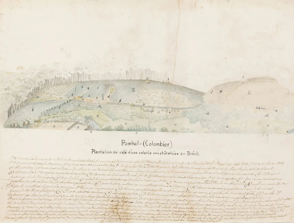 Pombal = (Colombier) Plantation de café d´une colonie neuchâteloise au Brésil, by Jean-Frédéric Bosset de Luze, graphite
