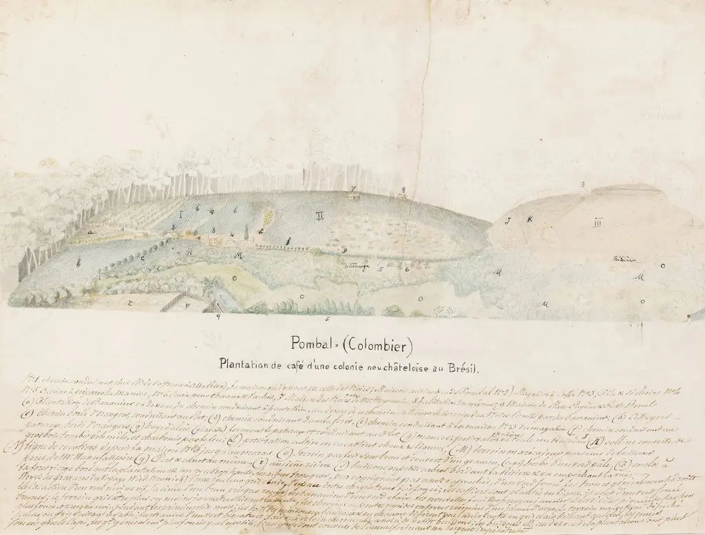 Pombal = (Colombier) Plantation de café d´une colonie neuchâteloise au Brésil