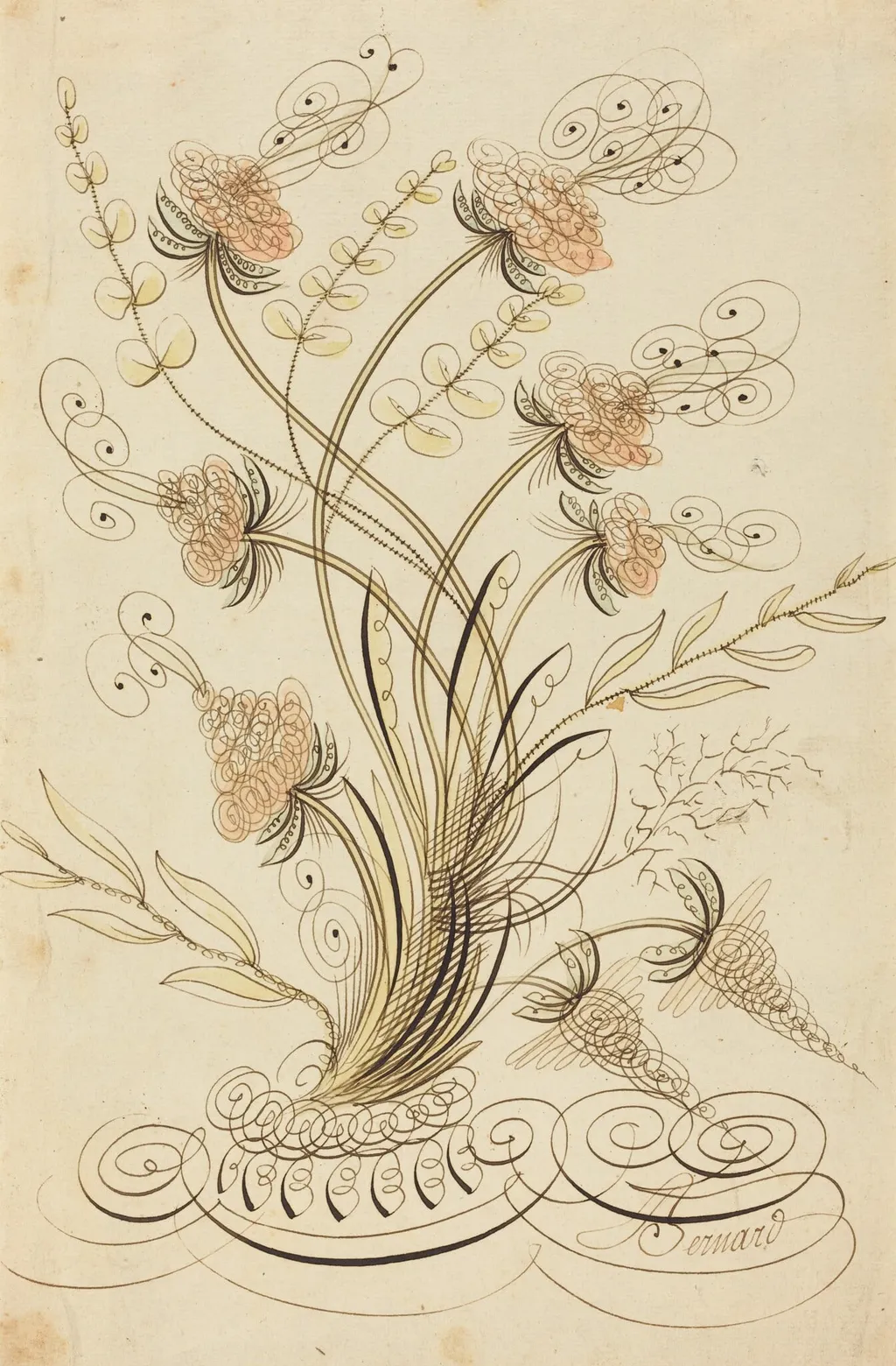 Calligraphic Flowers, by Jean-Joseph Bernard, ink, 1750