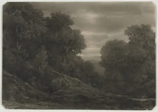 Landscape with Trees, by Jean-Philippe George