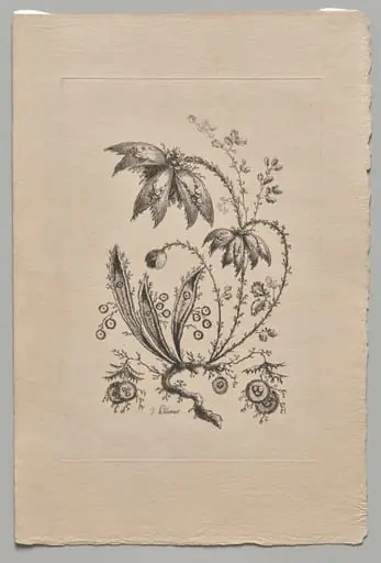 Persian Flowers, by Jean Pillement