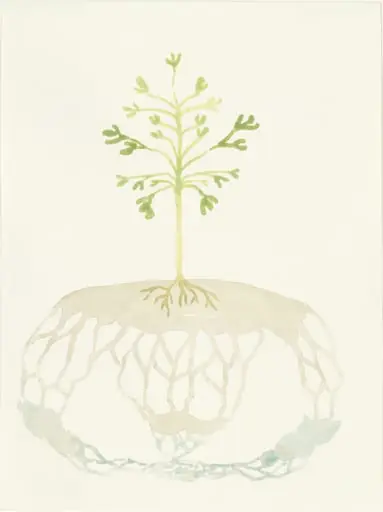 Untitled, by Jeff Davis