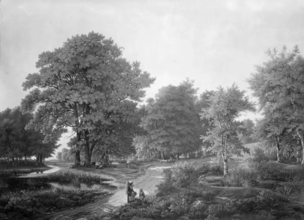 Skovparti på vejen mellem Helsingør og Hammermøllen, by Jens Peter Møller, oil, 1838