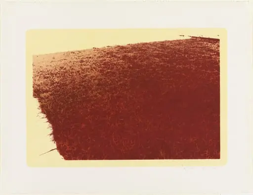 Untitled, by Jerry Anderson
