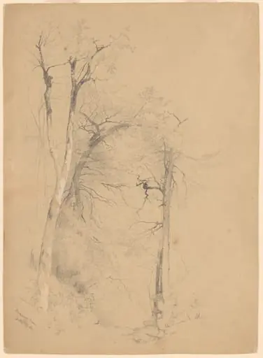 Kauterskill Clove, by Jervis McEntee