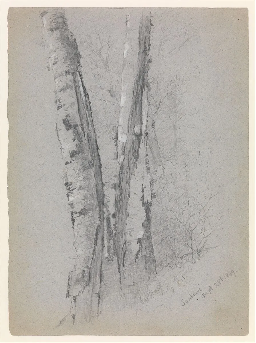 Study of Birch Trunks (Scribners'), by Jervis McEntee, gouache, 1869