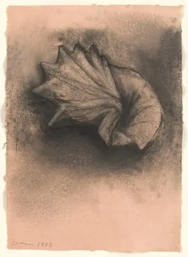 Untitled, by Jim Dine