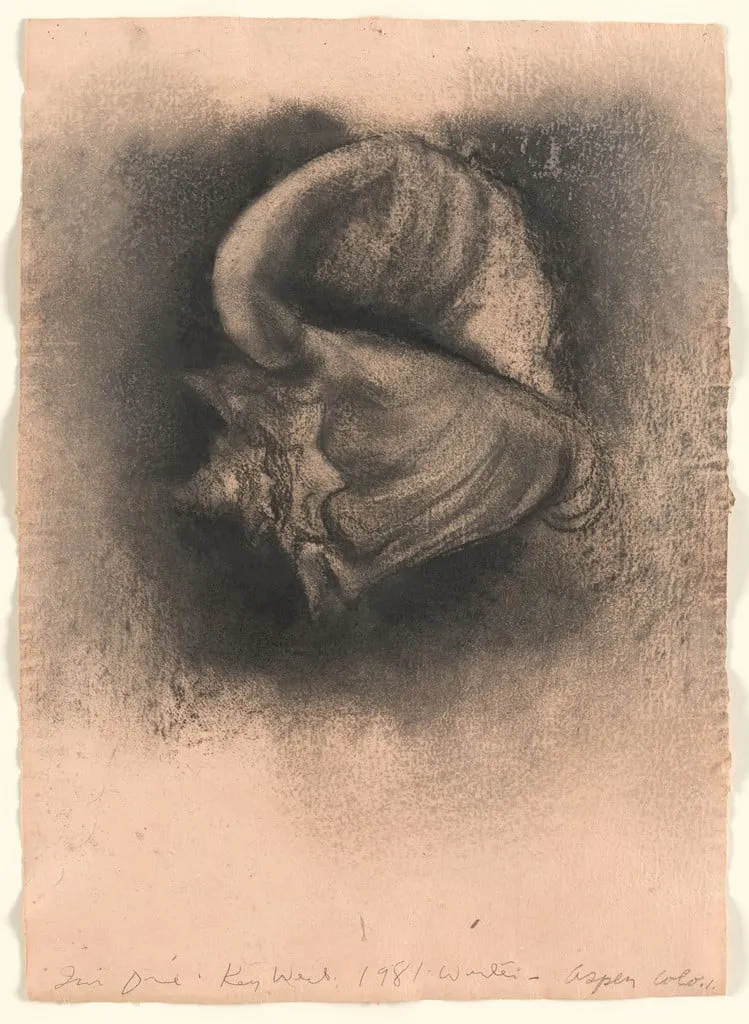Untitled, by Jim Dine, charcoal, 1981