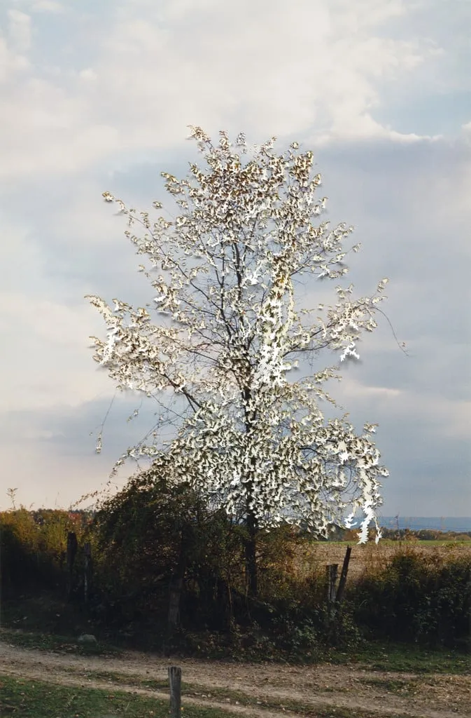 Untitled, by Jim Hodges, 2002