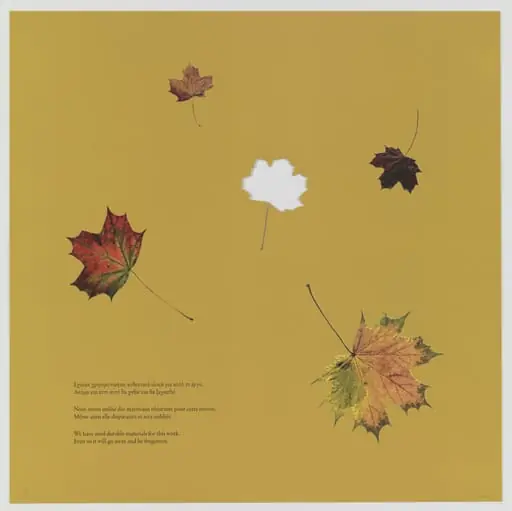 Untitled, by Jimmie Durham