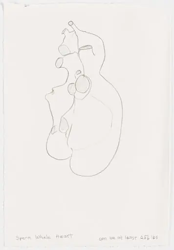 Untitled, by Joan Jonas