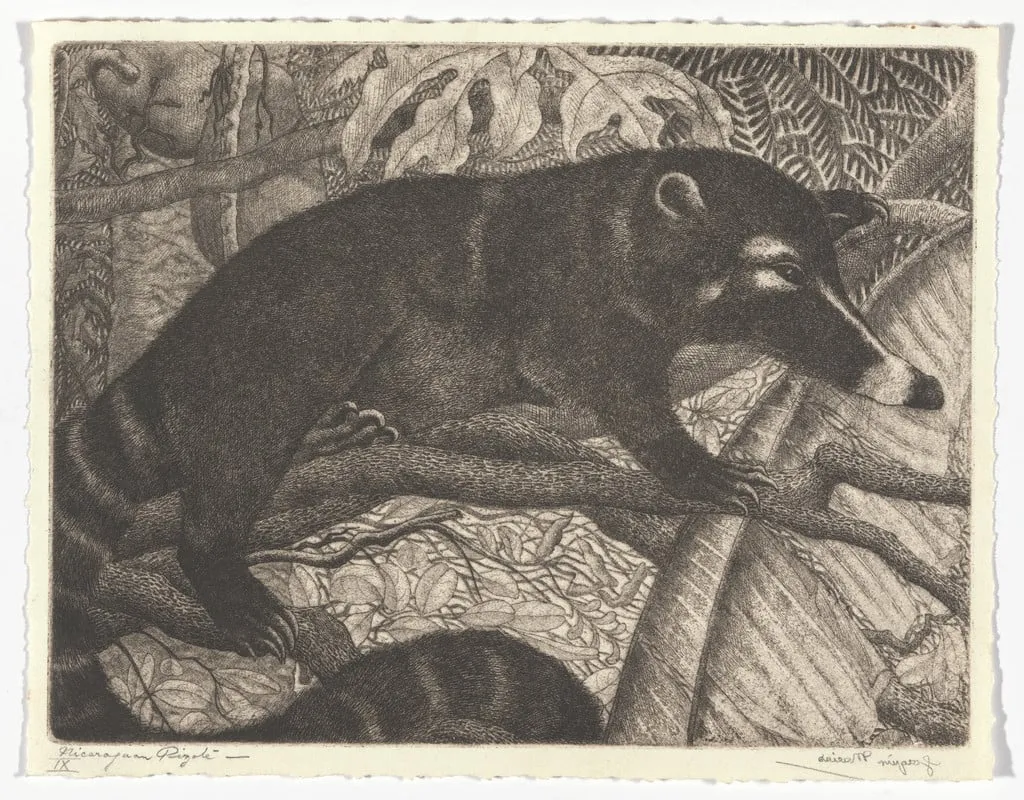 Untitled, by Joaquín Macías, ink, 1940