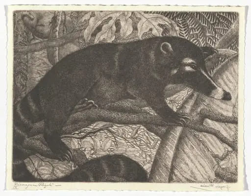 Untitled, by Joaquín Macías