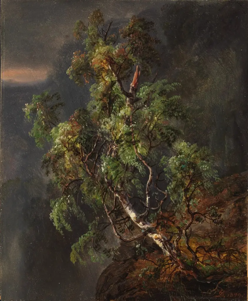 Birch Tree in a Storm