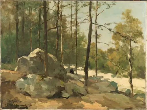 Bosgezicht nabij Barbizon