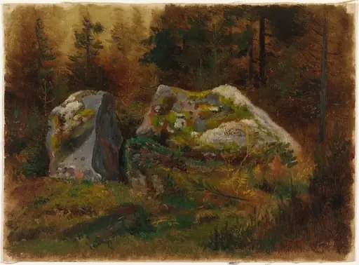 Sammaleisia kiviä metsässä, by Johan Knutson