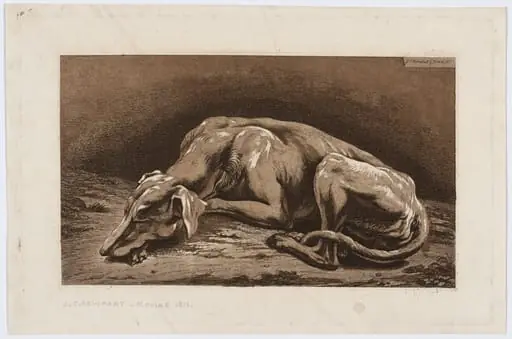 Sleeping Greyhound, by Johann Christian Reinhart