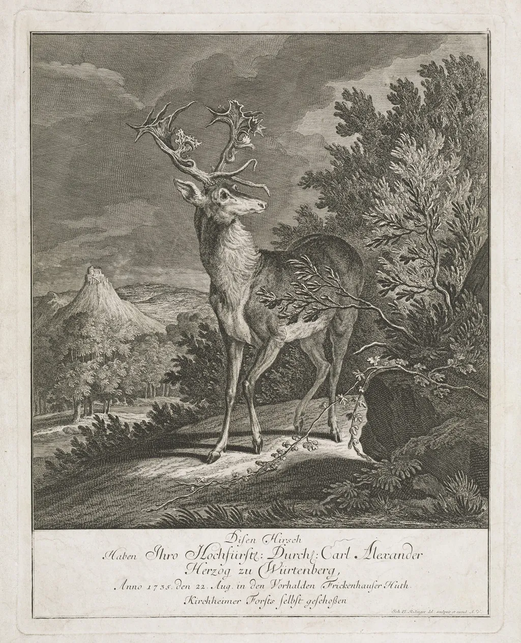 A Magnificent Stag in a Landscape, by Johann Elias Ridinger, ink, 1735
