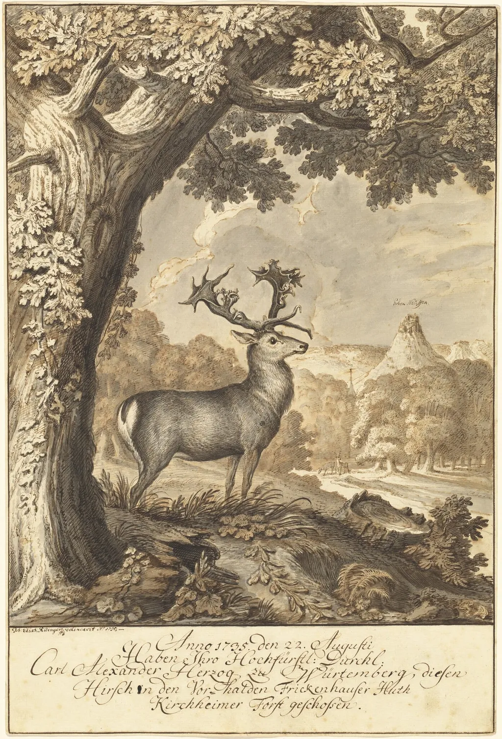 A Stag beneath a Mighty Oak, by Johann Elias Ridinger, ink, 1735
