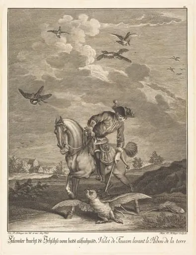 Falconeer Lifting an Owl from the Ground, by Johann Elias Ridinger