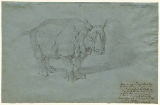The Rhinoceros "Miss Clara", by Johann Elias Ridinger