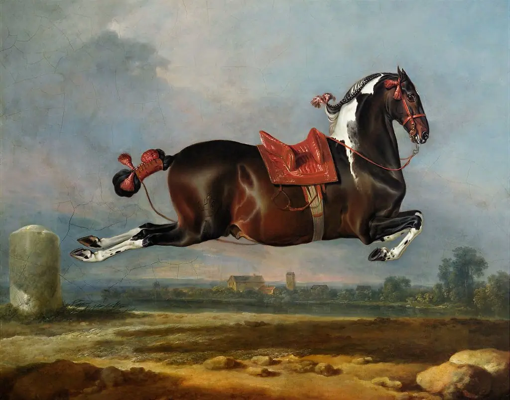 Kladruber Hengst "Cerbero" in der Kapriole, by Johann Georg de Hamilton