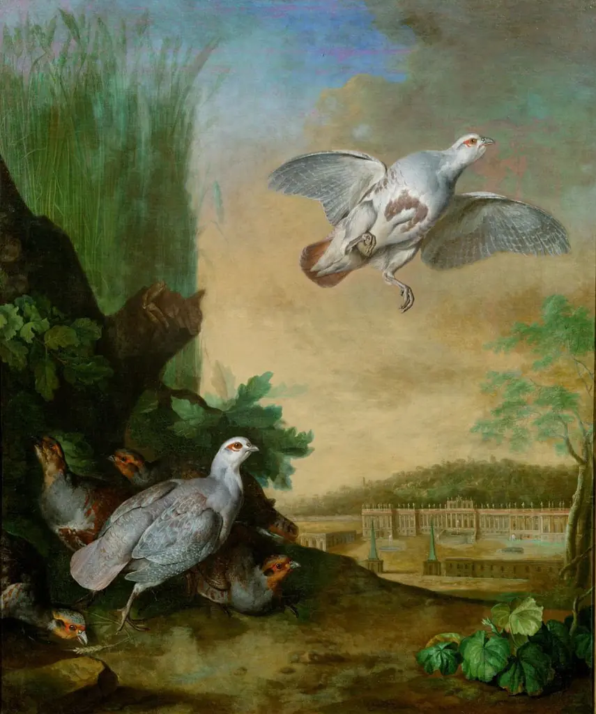 Rebhühner im Schönbrunner Park, by Johann Georg de Hamilton