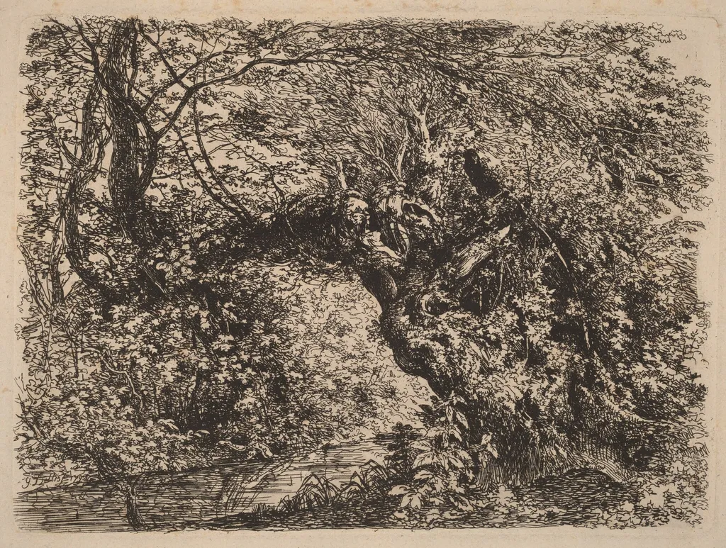 An Old Willow by a Stream, by Johann Georg von Dillis, ink, 1793