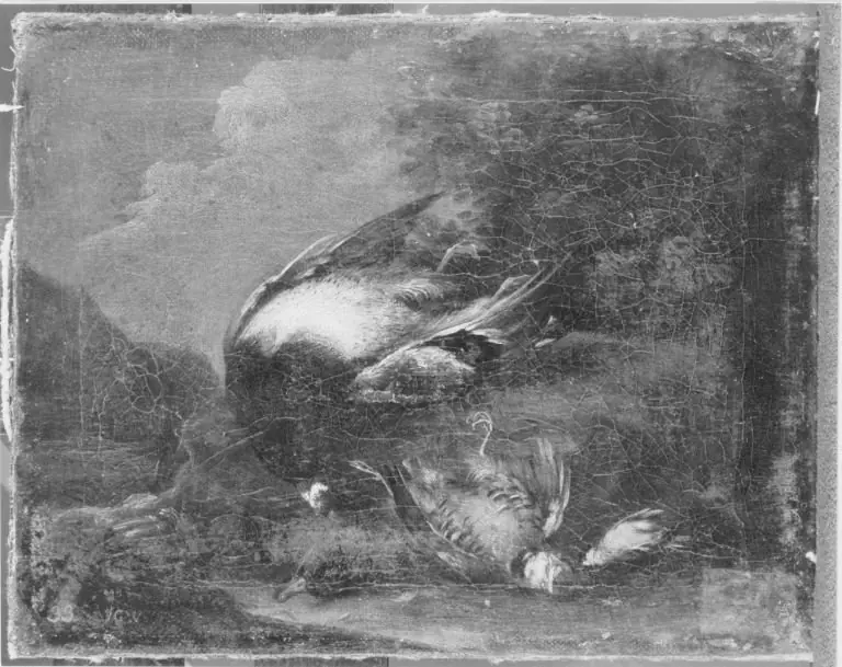 Totes Geflügel, by Johann Georg Waxschlunger