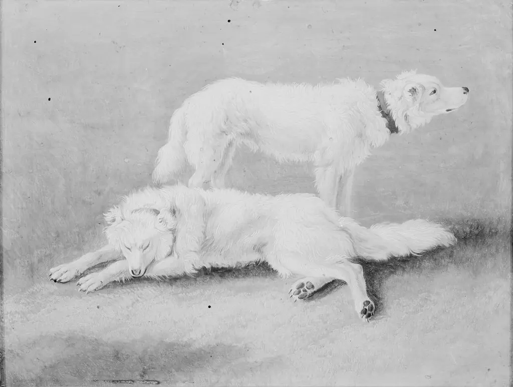 Two dogs, by Johann Gottlieb Hackert
