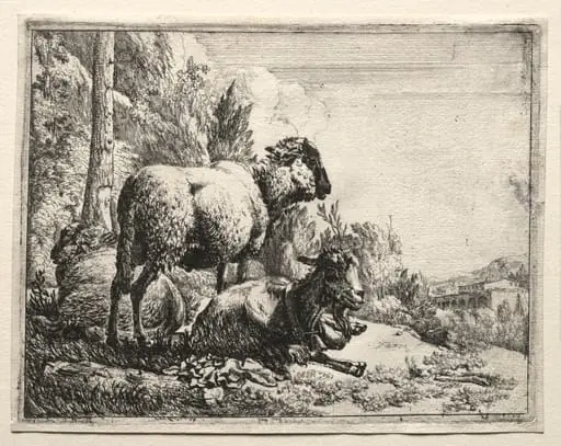 Goat with Bell, by Johann Heinrich Roos