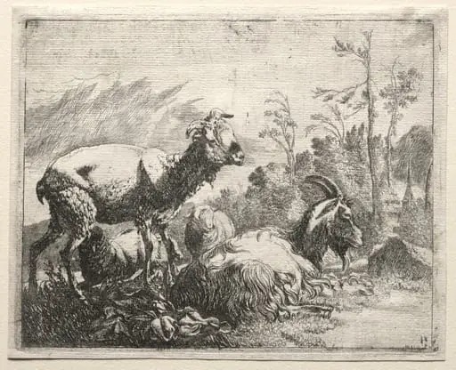 Goats, by Johann Heinrich Roos