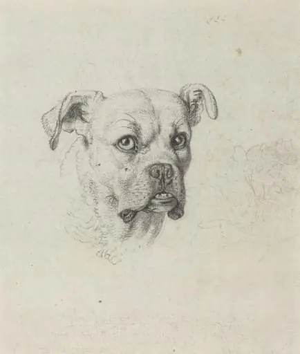 A Boxer, by Johann Heinrich Wilhelm Tischbein