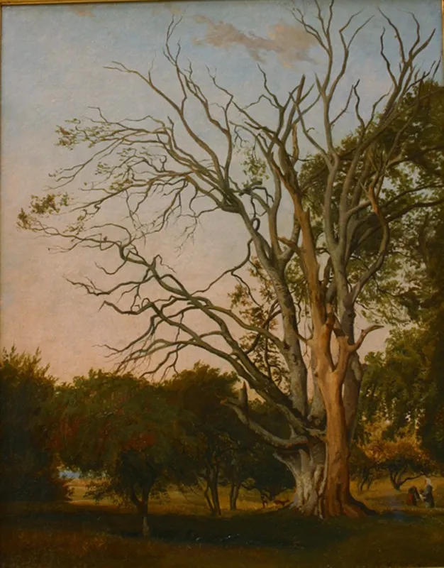 Woodland Scene with a Dead Tree, by Johann Hermann Carmiencke, unspecified, 1835