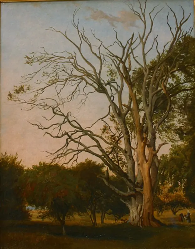 Woodland Scene with a Dead Tree, by Johann Hermann Carmiencke
