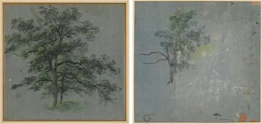 Two Trees (recto) Tree Studies (verso), by Johann Jacob Dorner